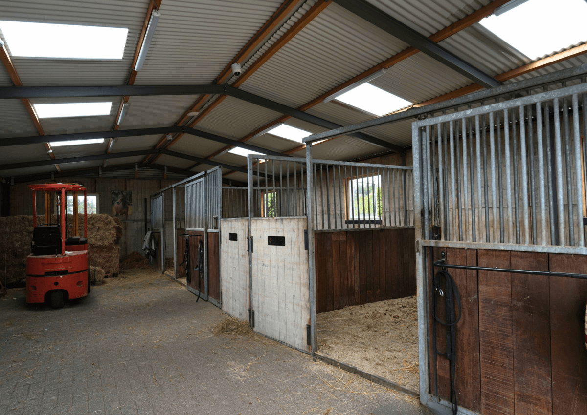 3044 - J8_2.6 - Zadeldakloods als paardenstal
