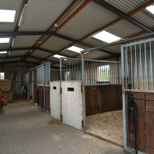 3044 - J8_2.6 - Zadeldakloods als paardenstal